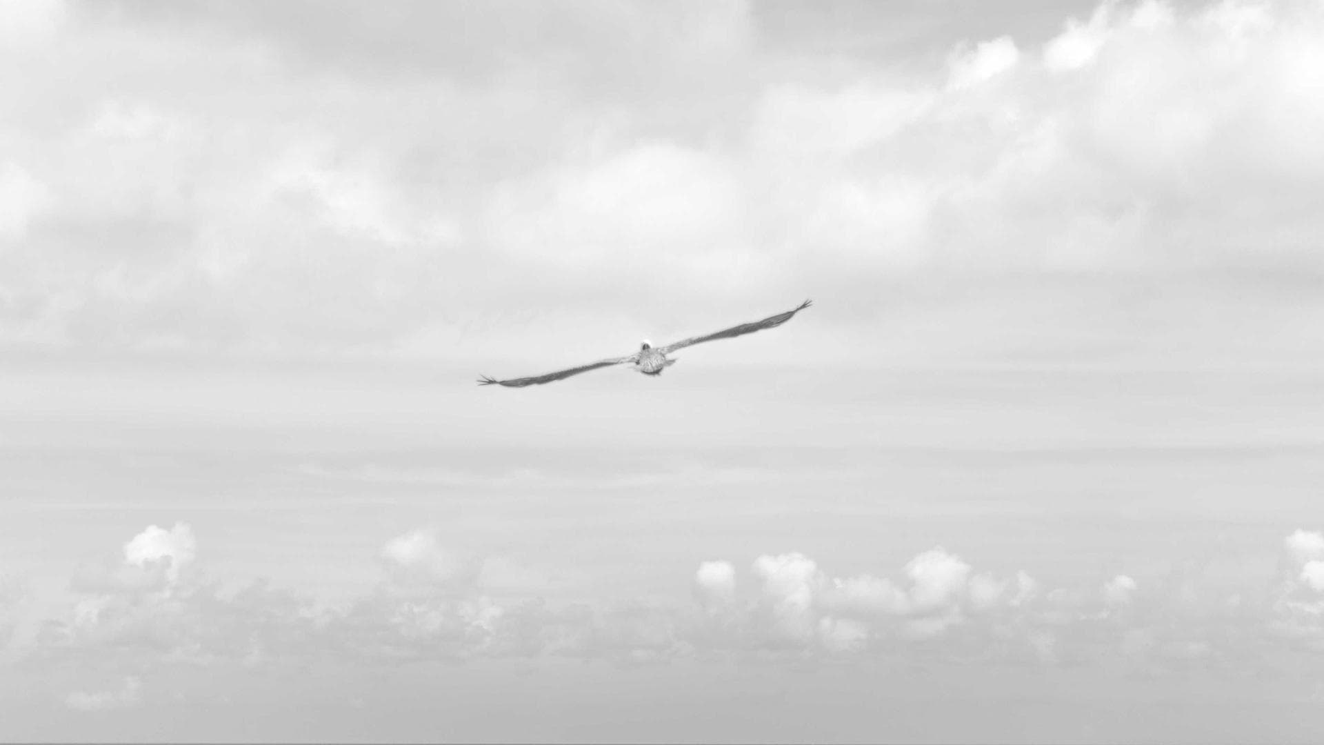 Beasiswa Pendidikan & Asrama