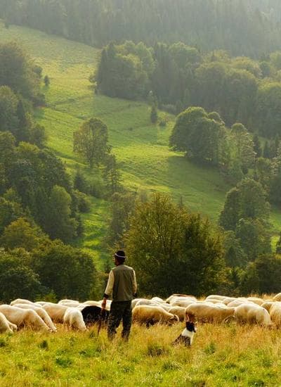 Memorandum Of Understanding (MOU) STT Periago – Yayasan Warga Kristen Pondok Kopi