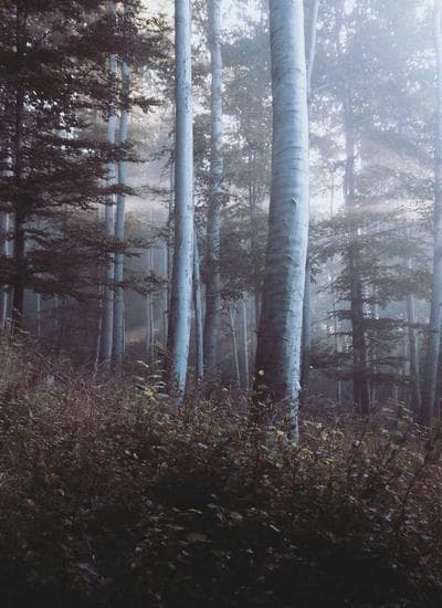 Memorandum Of Understanding (MOU) STT Periago – Badan Misi World Partners