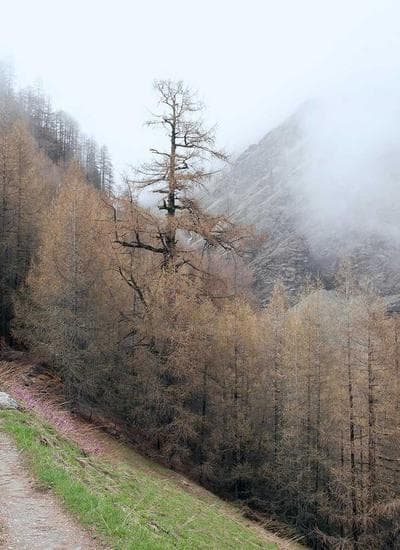 Memorandum Of Understanding (MOU) STT Periago – Badan Misi World Partners